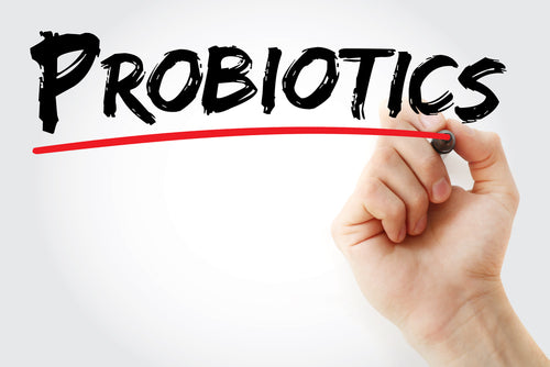 4 Benefits of Taking a Probiotic