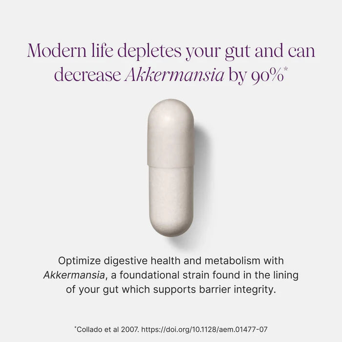 Akkermansia