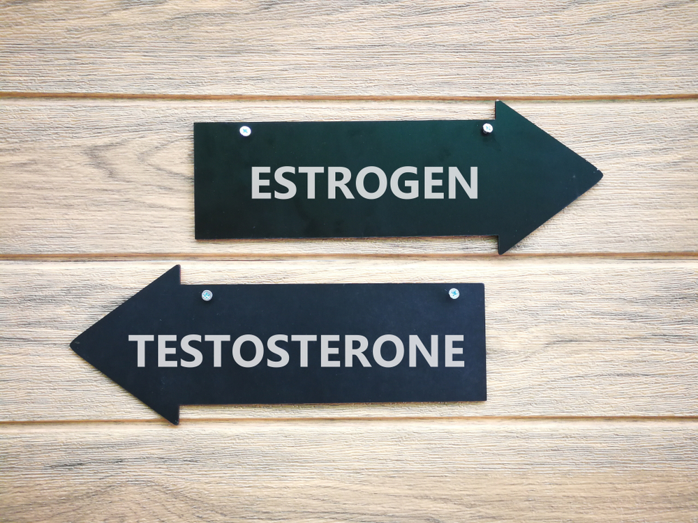 estrogen and testosterone